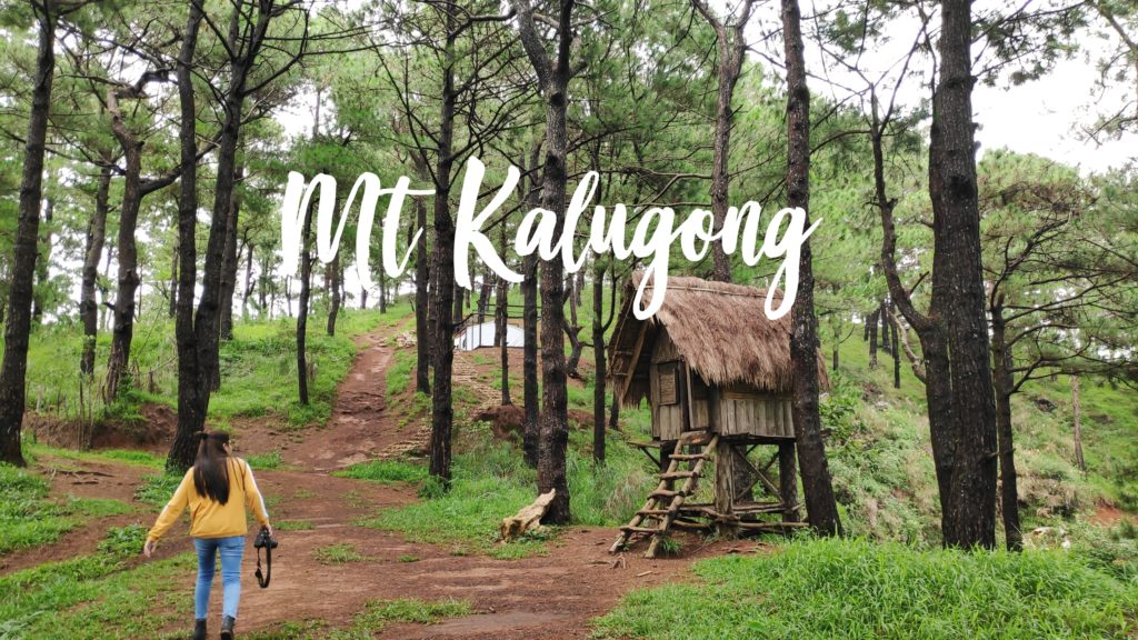 Mt. Kalugong Travel Guide: Journey On Its Eco Park and Cafe (Updated ...