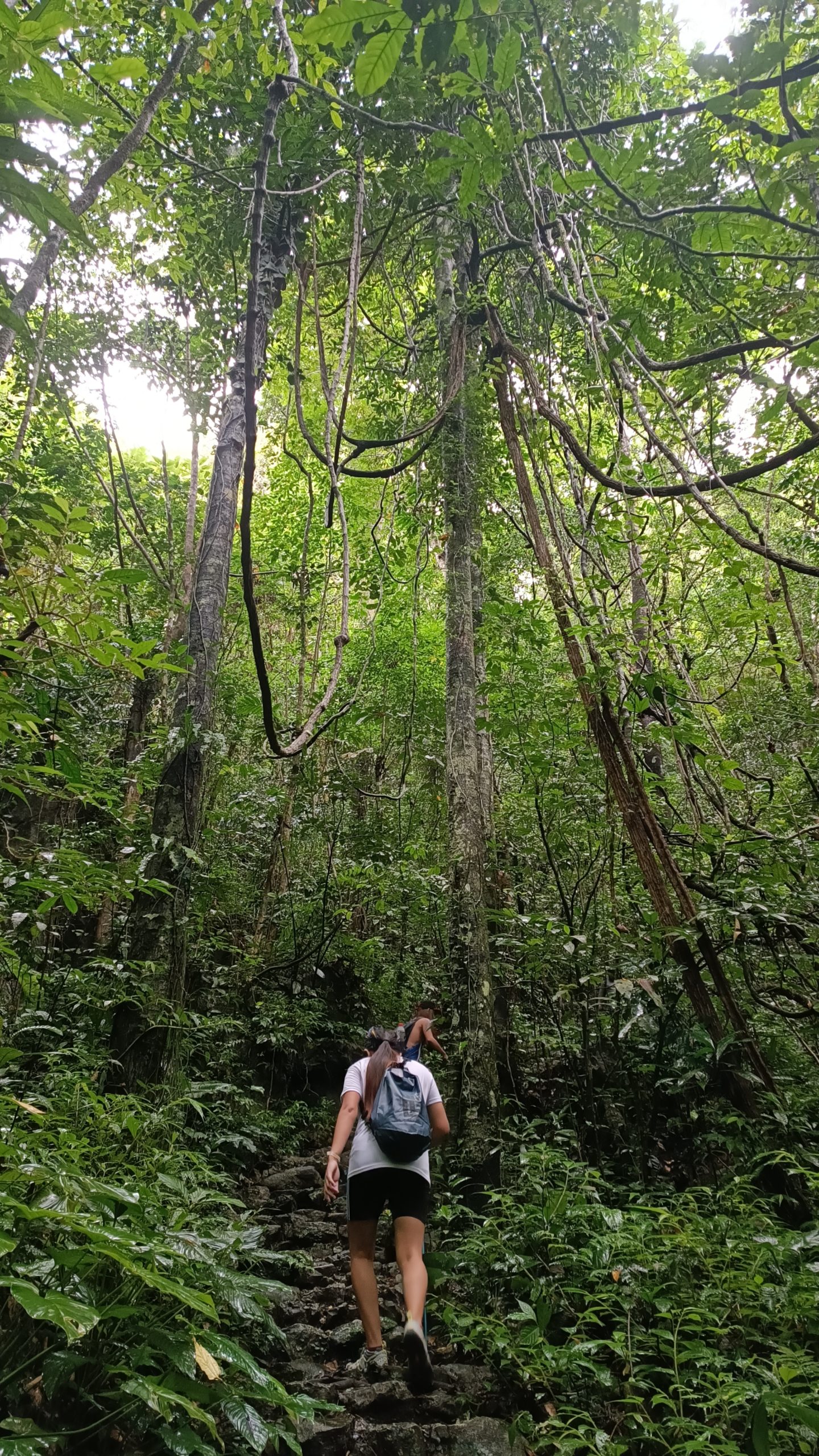 Atimonan, Quezon: Mt. Pinagbanderahan + Bantakay Falls Travel Guide ...