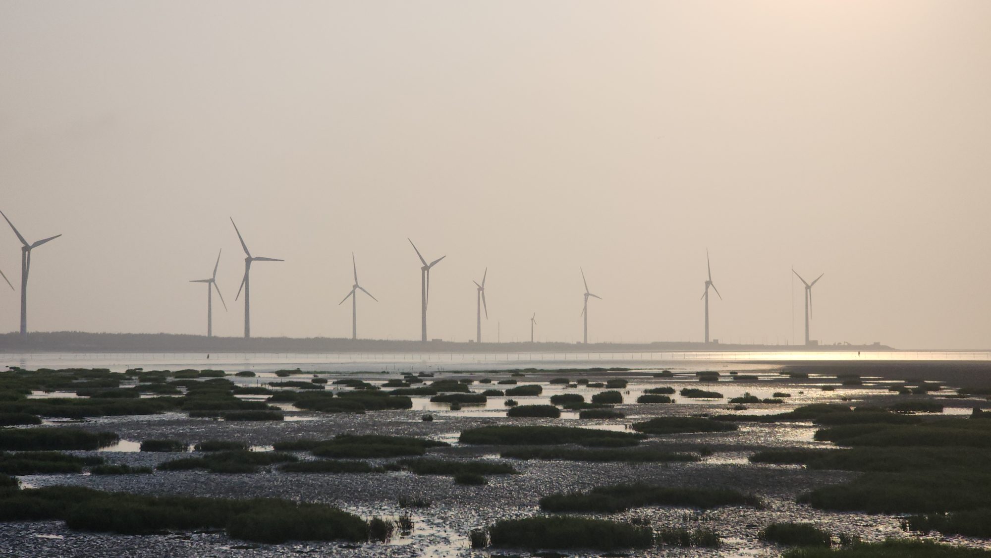 Gaomei Wetlands