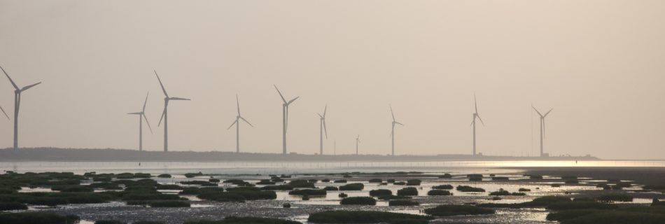 Gaomei Wetlands